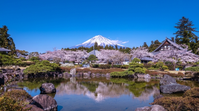 静岡