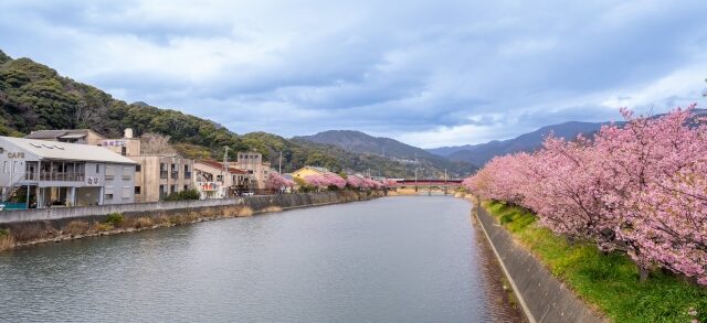 静岡県賀茂郡河津町